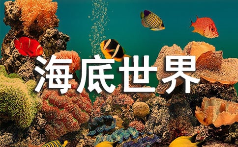 《海底世界》教学反思【实用15篇】
