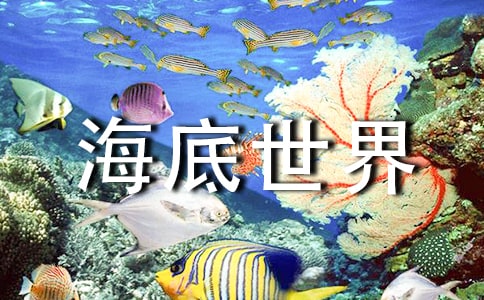 《海底世界》中班科学活动教案
