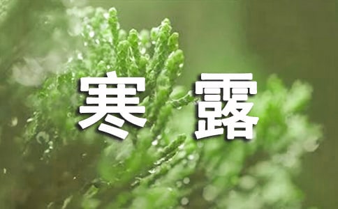 寒露快乐的祝福语