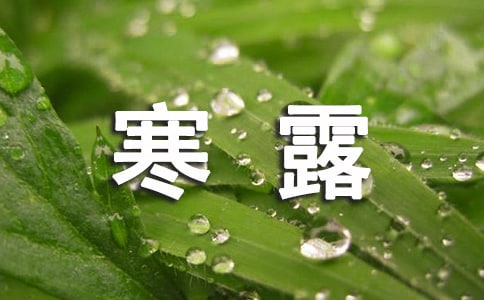 寒露节气问候语汇编40条