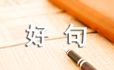 狼犬罗伊的好句子汇集