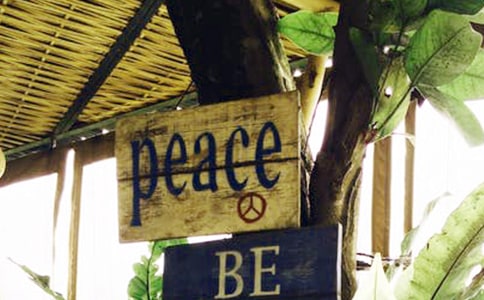 《为了和平》纪录片观后感