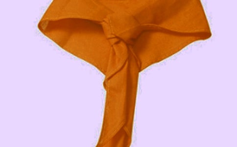 红领巾爱学习观后感