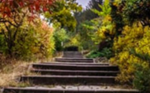 《巨人的花园》教学反思 15篇