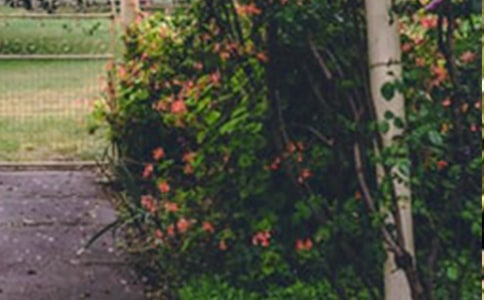 《巨人的花园》教学反思（优）