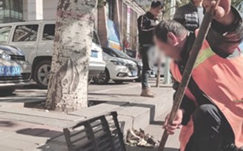 环卫处个人年终工作总结