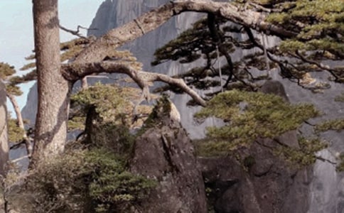 《黄山奇石》教学反思【优秀】