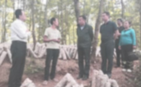 纪检部工作总结通用15篇