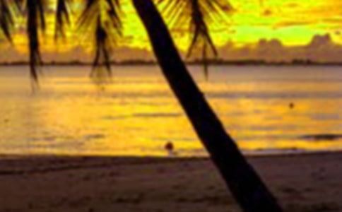 学生假期工作总结