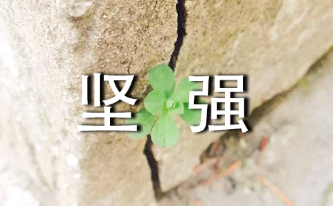 关于坚强唯美留言句子60句