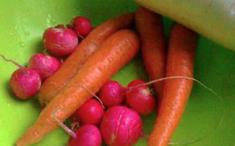 大班健康教学反思(15篇)