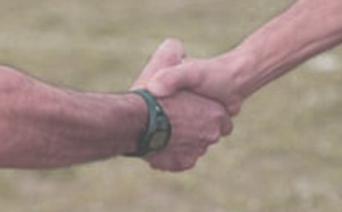 关于口语交际教案范文集合5篇