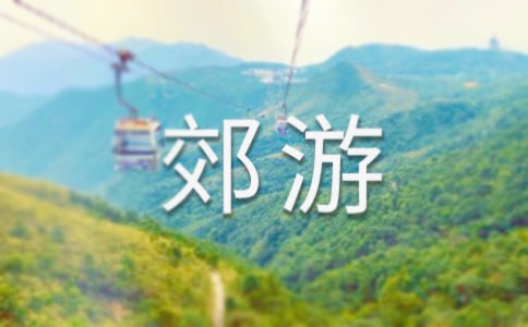 中班游戏活动教案《去郊游》