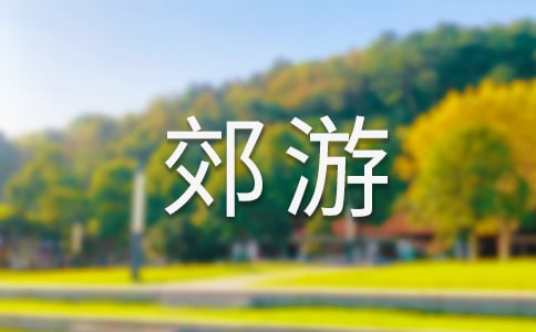 大班艺术郊游教案