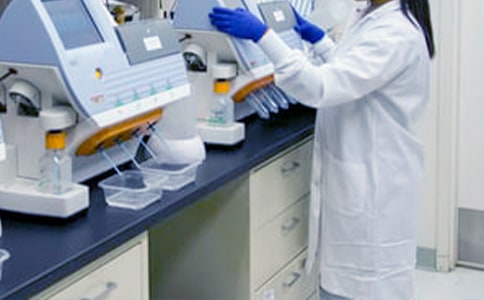 教研的工作总结范文