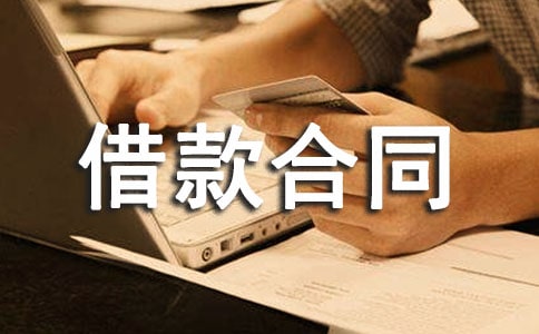 最新个人借款合同[精选]