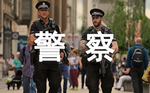 小小警察指挥忙大班教案