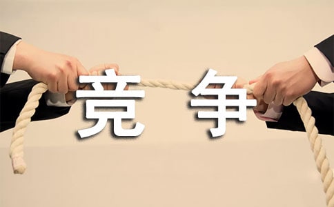 竞争情报分会工作总结