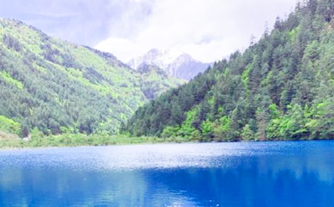 九寨沟教学反思