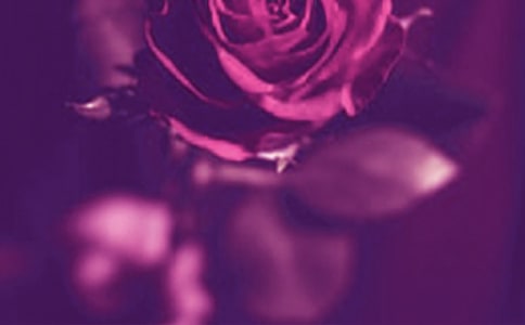 关于浪漫唯美留言70句