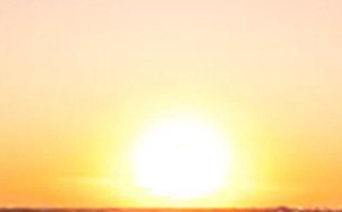 《猩球崛起 黎明之战》观后感