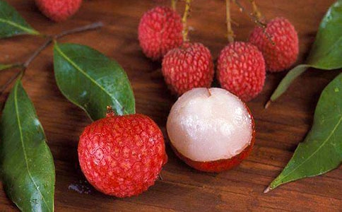 广州市荔枝买卖合同