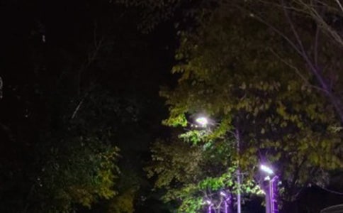 路灯工程安装合同8篇