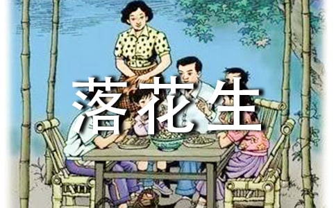 [集合]落花生读后感
