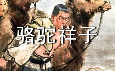 骆驼祥子读书心得【集合6篇】