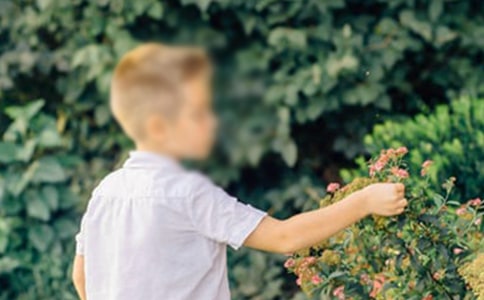 《奇迹男孩》的观后感