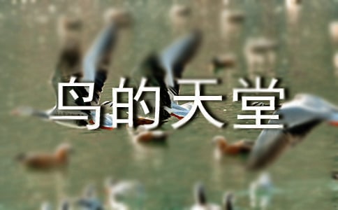《鸟的天堂》教学反思