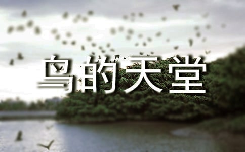 鸟的天堂教案范文集合5篇