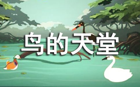 《鸟的天堂》教学设计(经典15篇)
