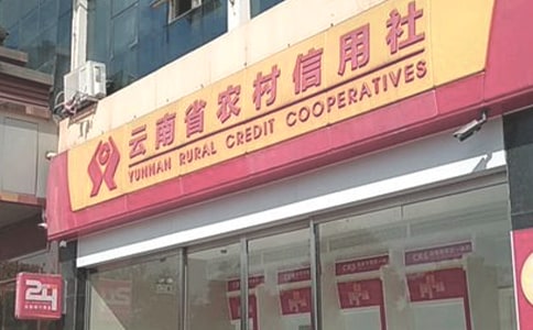 新形势下农村信用社内部审计质量评估的调查报告 