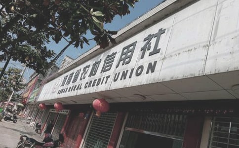 农村信用社半年工作总结