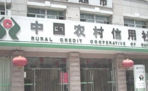 农村信用社个人年终工作总结范文