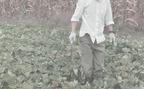 农作物种子购买合同范本