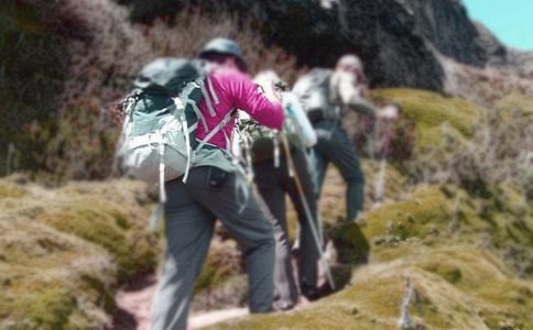 《爬山虎的脚》教学反思15篇【实用】