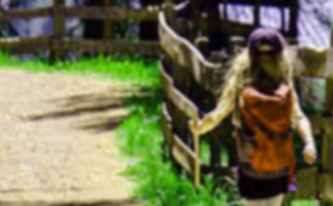 爬山虎教学反思