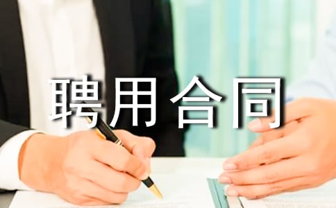 电声音响工程师聘用合同