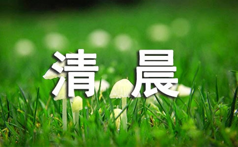 每日清晨问候语大全最新