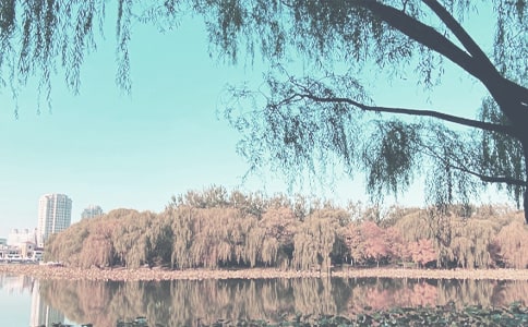 秋季学期教学工作总结