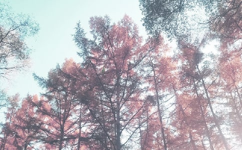 秋季学期保卫部工作计划