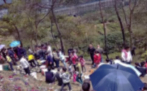 小学生扫墓活动总结15篇