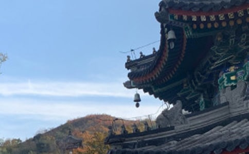 （集合）上下五千年读后感2篇