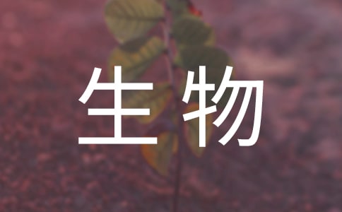 关于生物的教学反思