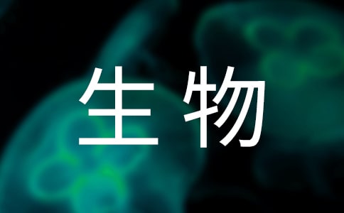 《生物的进化》教学反思优秀
