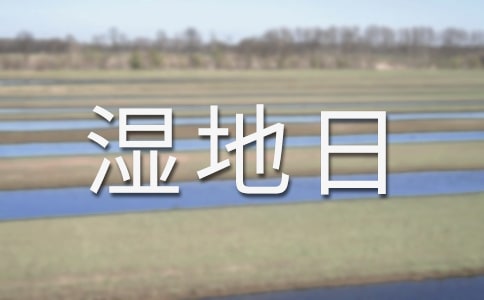 “世界湿地日”宣传活动总结