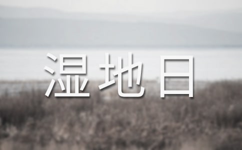 世界湿地日活动总结