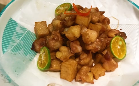 大班科学食物的旅行教案